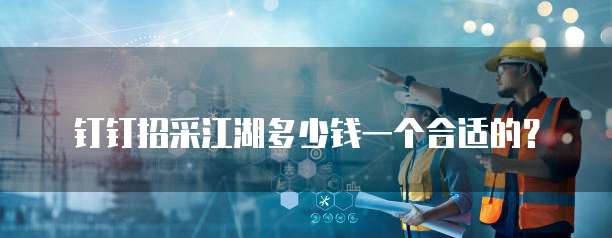 钉钉招采江湖多少钱一个合适的？
