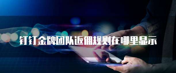 钉钉金牌团队返佣规则在哪里显示