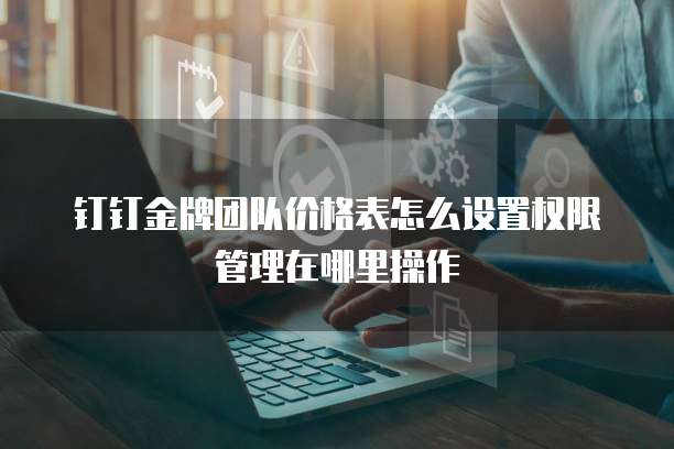 钉钉金牌团队价格表怎么设置权限管理在哪里操作