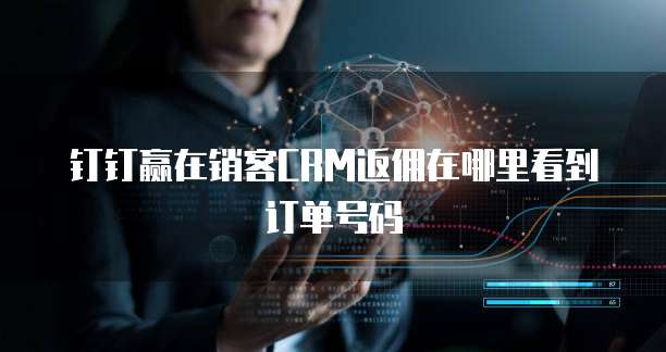 钉钉赢在销客CRM返佣在哪里看到订单号码