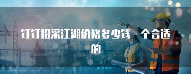钉钉招采江湖价格多少钱一个合适的