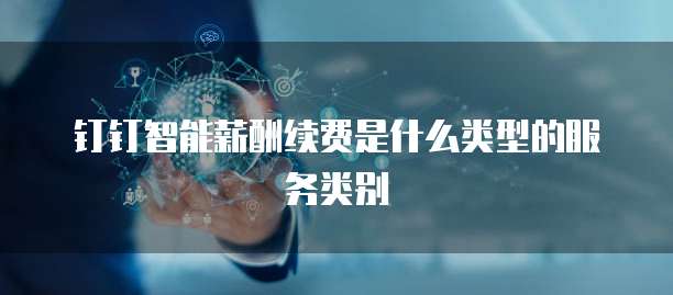 钉钉智能薪酬续费是什么类型的服务类别