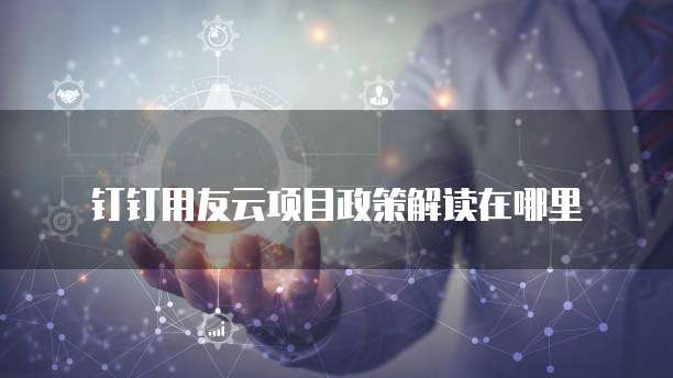 钉钉用友云项目政策解读在哪里