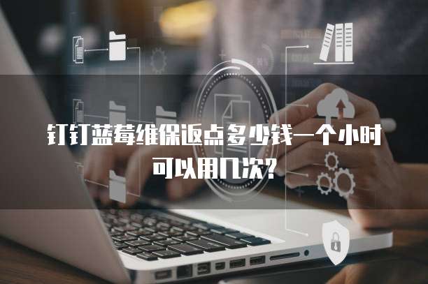 钉钉蓝莓维保返点多少钱一个小时可以用几次？