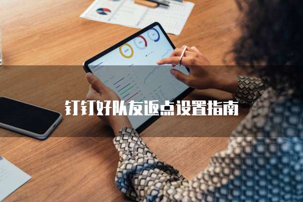 钉钉好队友返点设置指南