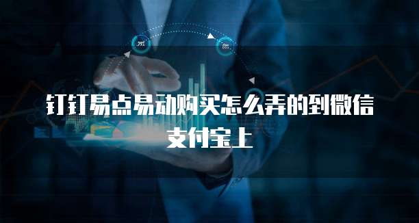 钉钉易点易动购买怎么弄的到微信支付宝上