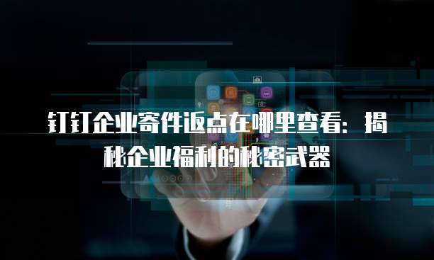 钉钉企业寄件返点在哪里查看:揭秘企业福利的秘密武器