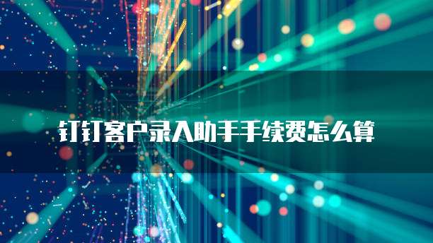 钉钉客户录入助手手续费怎么算