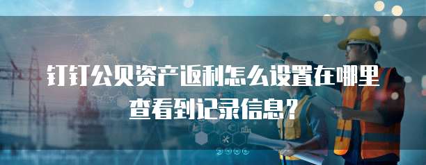 钉钉公贝资产返利怎么设置在哪里查看到记录信息?