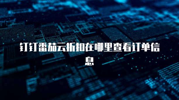 钉钉番茄云折扣在哪里查看订单信息