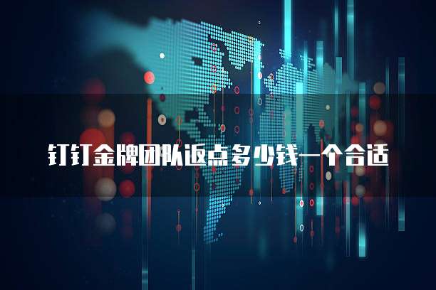 钉钉金牌团队返点多少钱一个合适
