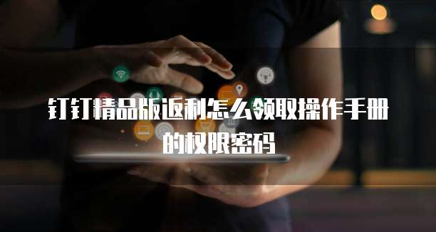 钉钉精品版返利怎么领取操作手册的权限密码