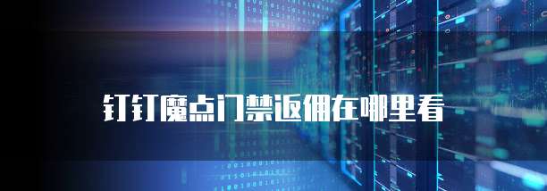 钉钉魔点门禁返佣在哪里看