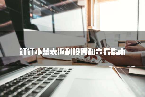 钉钉小蓝表返利设置和查看指南