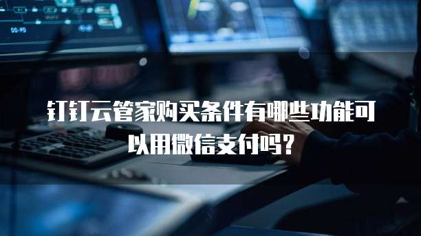 钉钉云管家购买条件有哪些功能可以用微信支付吗？
