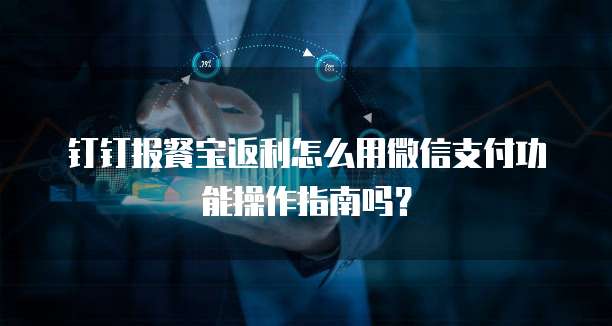 钉钉报餐宝返利怎么用微信支付功能操作指南吗？