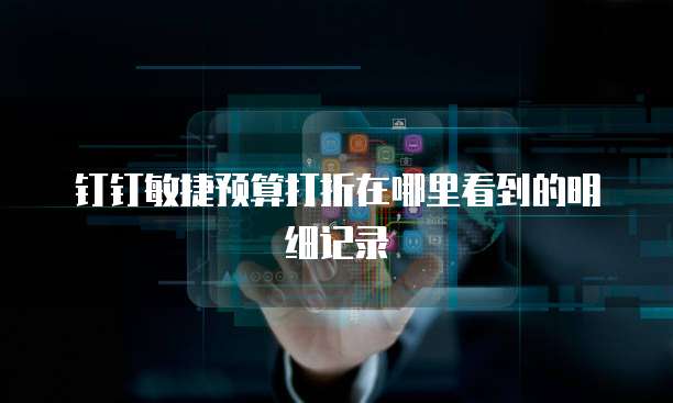 钉钉敏捷预算打折在哪里看到的明细记录
