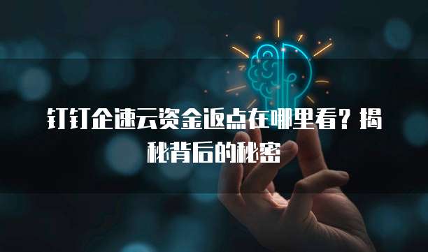 钉钉企速云资金返点在哪里看?揭秘背后的秘密