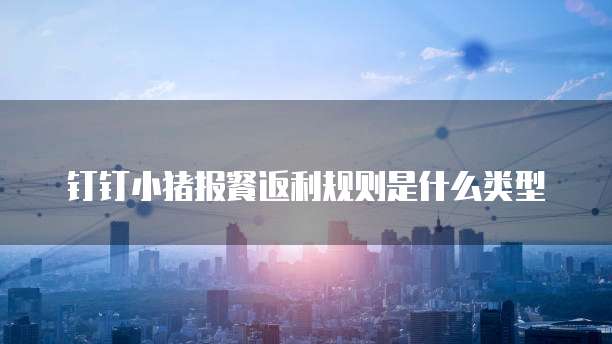 钉钉小猪报餐返利规则是什么类型