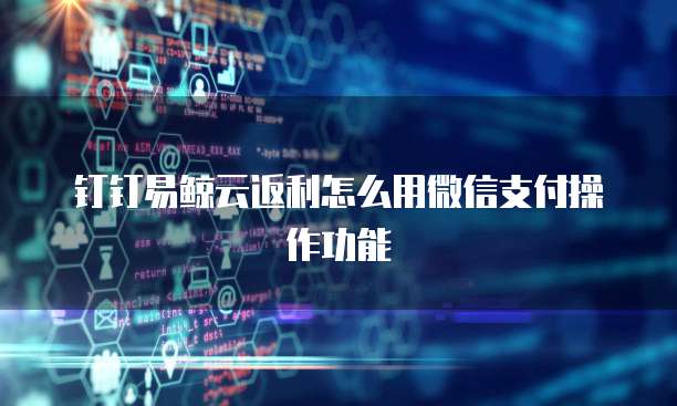 钉钉易鲸云返利怎么用微信支付操作功能