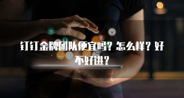 钉钉金牌团队便宜吗？怎么样？好不好进？