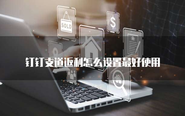 钉钉支道返利怎么设置最好使用
