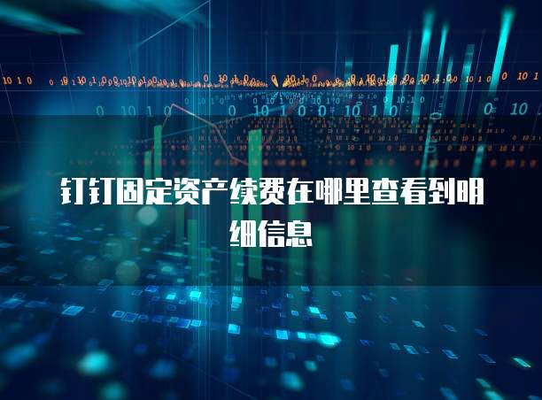 钉钉固定资产续费在哪里查看到明细信息