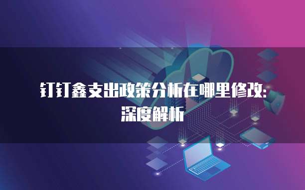 钉钉鑫支出政策分析在哪里修改：深度解析