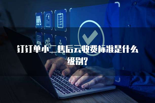 钉钉单小二售后云收费标准是什么级别?