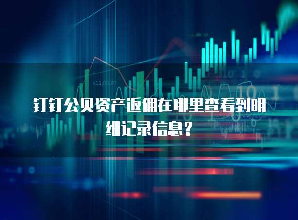 钉钉公贝资产返佣在哪里查看到明细记录信息?
