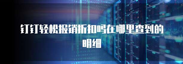 钉钉轻松报销折扣吗在哪里查到的明细
