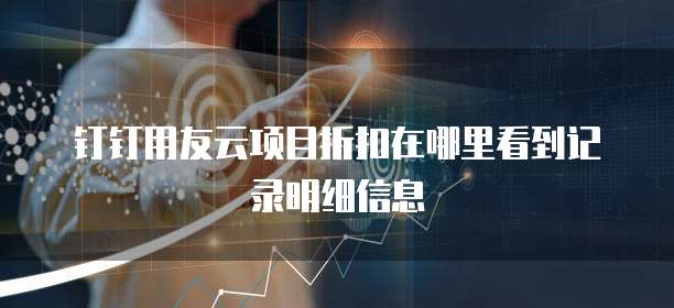 钉钉用友云项目折扣在哪里看到记录明细信息