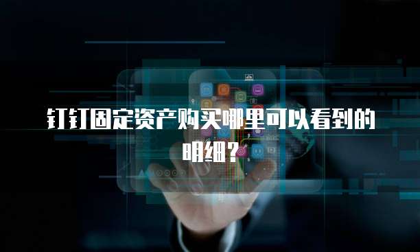 钉钉固定资产购买哪里可以看到的明细?
