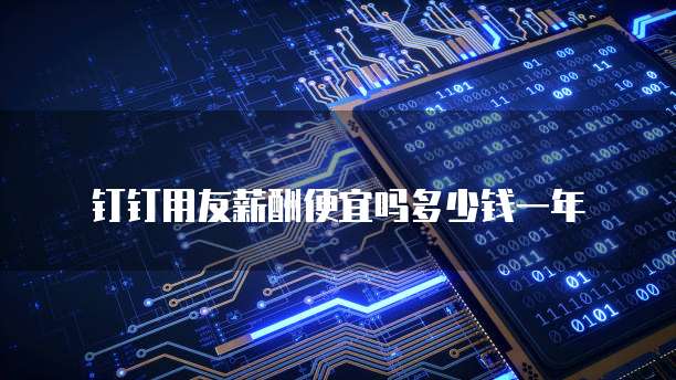 钉钉用友薪酬便宜吗多少钱一年