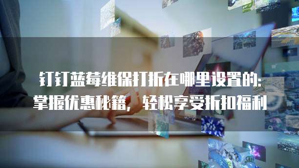 钉钉蓝莓维保打折在哪里设置的:掌握优惠秘籍,轻松享受折扣福利