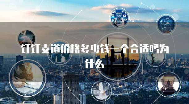 钉钉支道价格多少钱一个合适吗为什么
