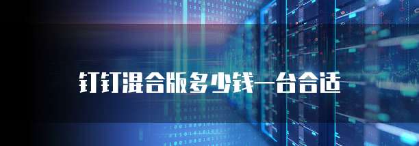 钉钉混合版多少钱一台合适