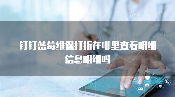 钉钉蓝莓维保打折在哪里查看明细信息明细吗