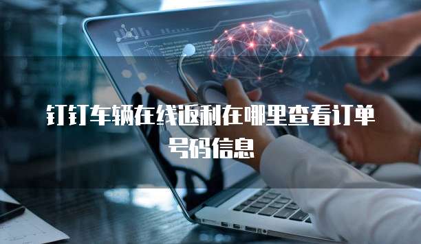 钉钉车辆在线返利在哪里查看订单号码信息