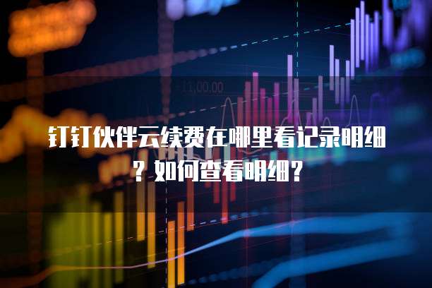 钉钉伙伴云续费在哪里看记录明细?如何查看明细?