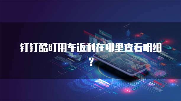 钉钉酷盯用车返利在哪里查看明细？