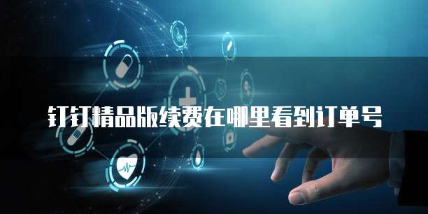 钉钉精品版续费在哪里看到订单号