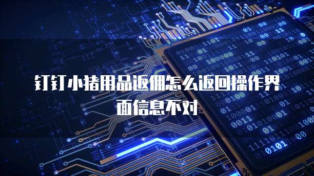 钉钉小猪用品返佣怎么返回操作界面信息不对