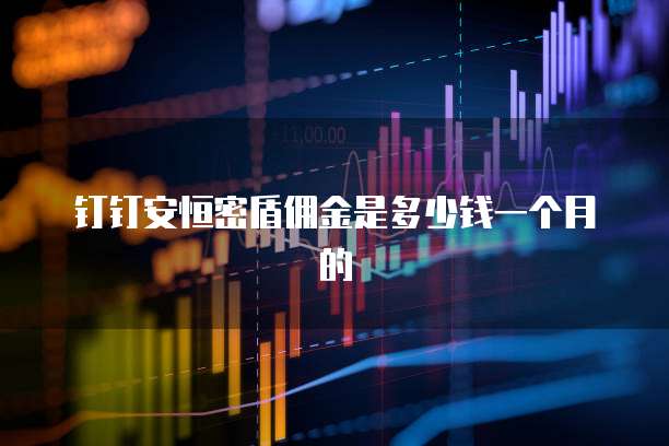 钉钉安恒密盾佣金是多少钱一个月的