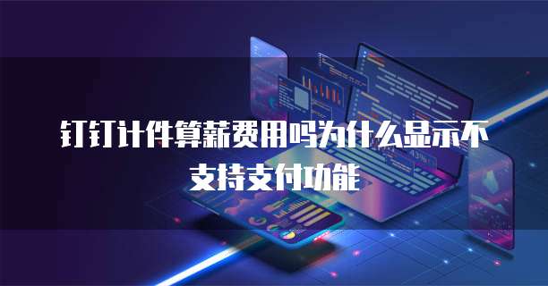 钉钉计件算薪费用吗为什么显示不支持支付功能