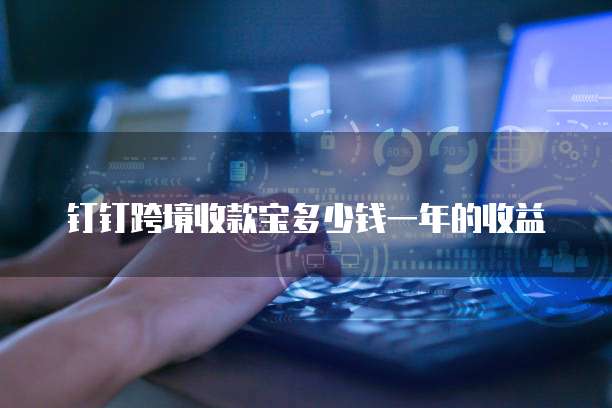 钉钉跨境收款宝多少钱一年的收益
