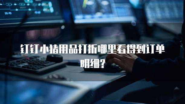 钉钉小猪用品打折哪里看得到订单明细?