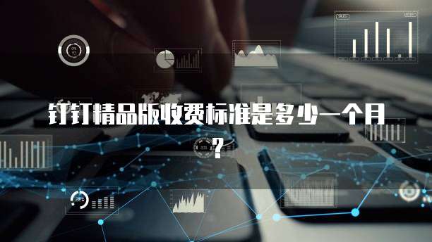 钉钉精品版收费标准是多少一个月？