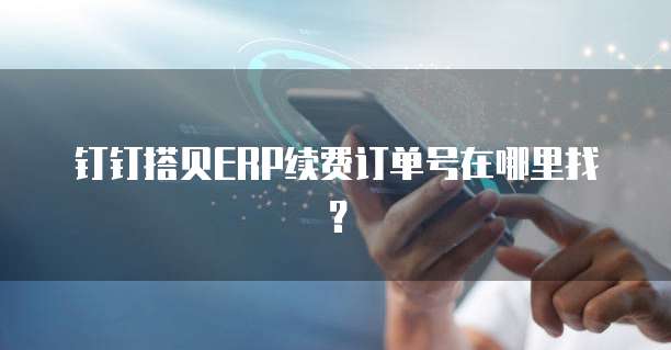 钉钉搭贝ERP续费订单号在哪里找？