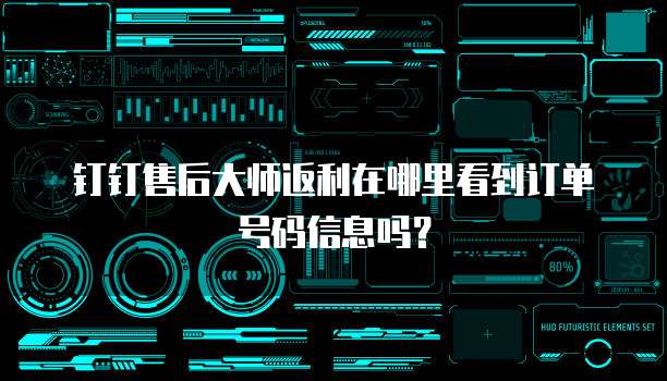钉钉售后大师返利在哪里看到订单号码信息吗？
